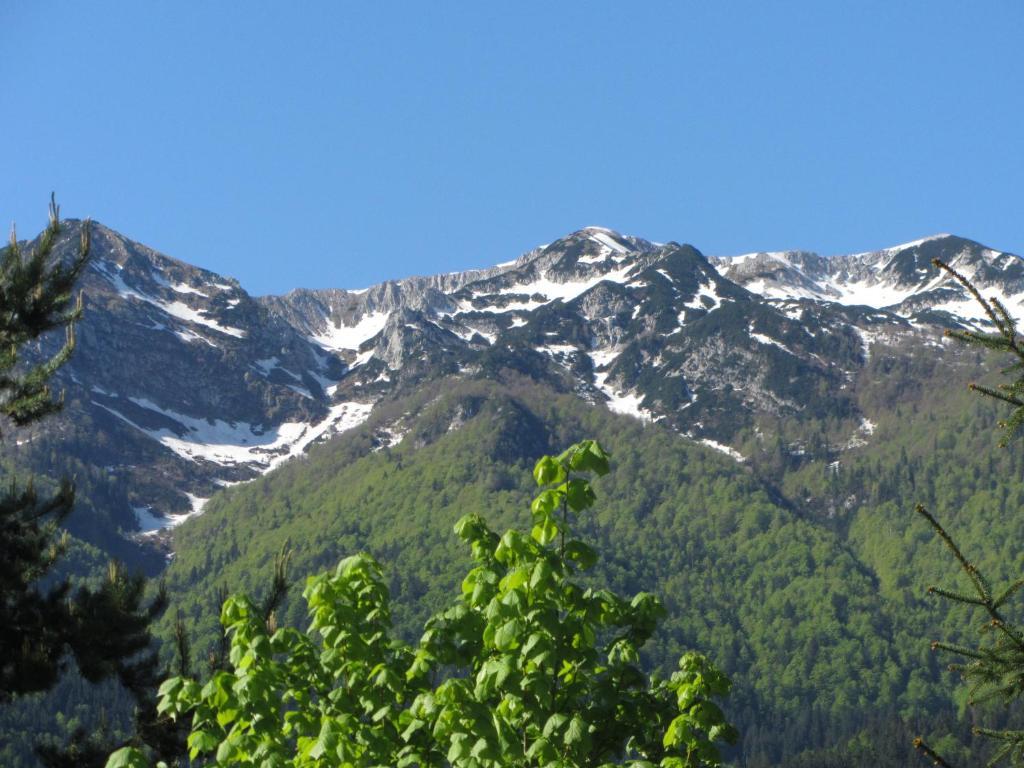 Apartments Arh Bohinj Luaran gambar