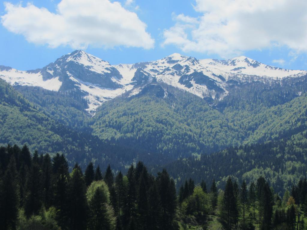 Apartments Arh Bohinj Luaran gambar